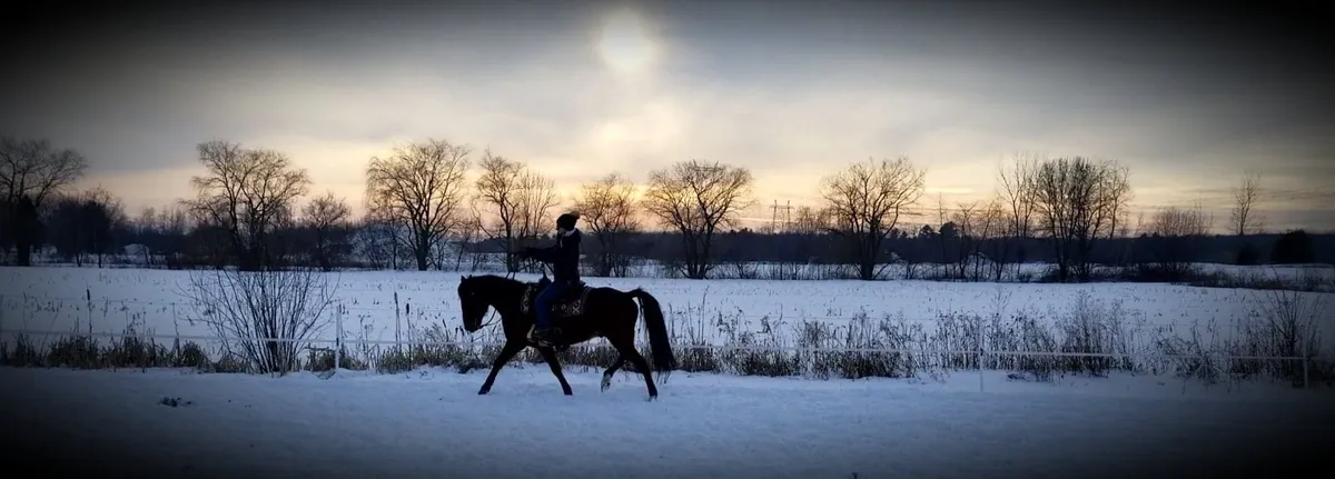 Cavalier à cheval au coucher du soleil, en silhouette sur les champs du ranch.