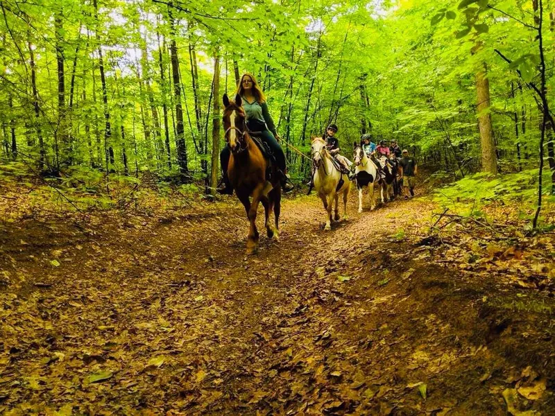 Cavalière de dos sur un sentier aux couleurs d'automne.