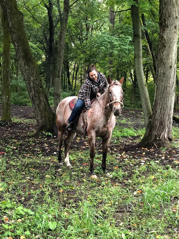 Cavalière sur son cheval dans une forêt verdoyante.